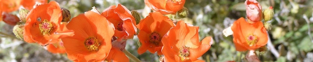 P3260073