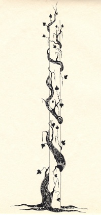 climbing vine ©1988 S.Weber