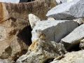 Pika9 opt2 