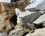 Pika9 opt2 