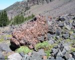 haypile1MT