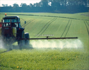 EPA Scientists Disagree With EPA Director