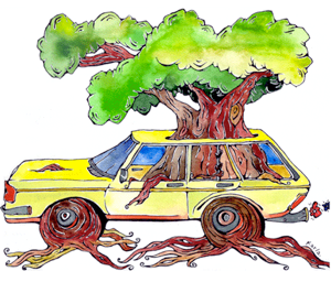Biofuels...The Basics